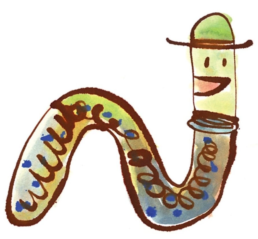 Worm — watercolour brush pen